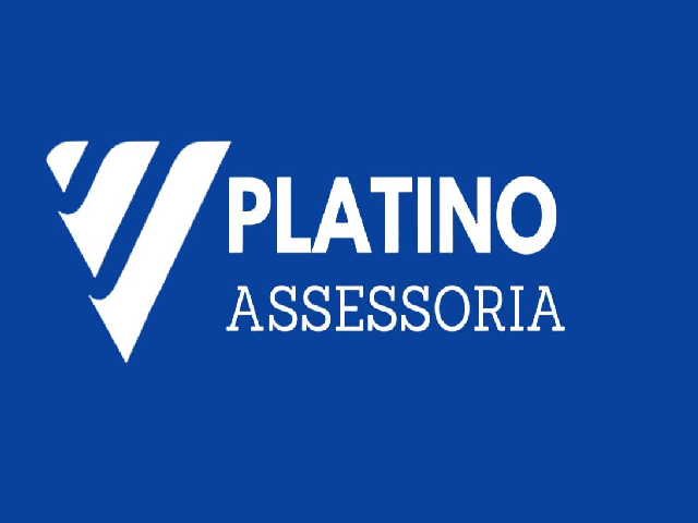PLATINO SOLU&Ccedil;&Otilde;ES FINANCEIRAS