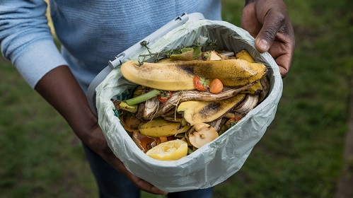 imagem é uma foto. Uma pessoa preta, vestindo uma camiseta azul de mangas compridas, segura um cesto de lixo aberto, revestido com um saco de lixo. Dentro do cesto há restos de comida, como cascas de banana e bagaços de laranja.